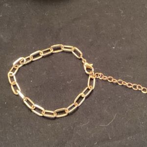 Shiny Goldtone Link Bracelet with Extender